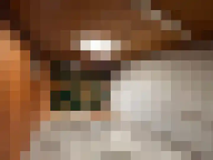 Splitshoorn 48 Monnickendam thumbnail 37