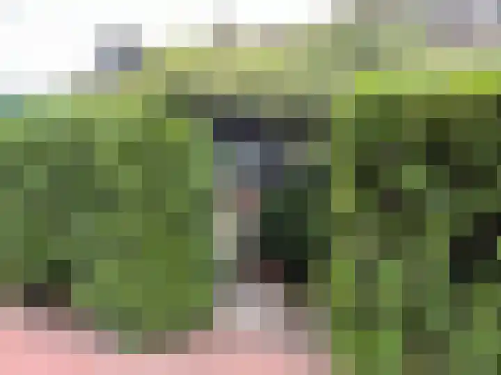 Splitshoorn 48 Monnickendam thumbnail 4