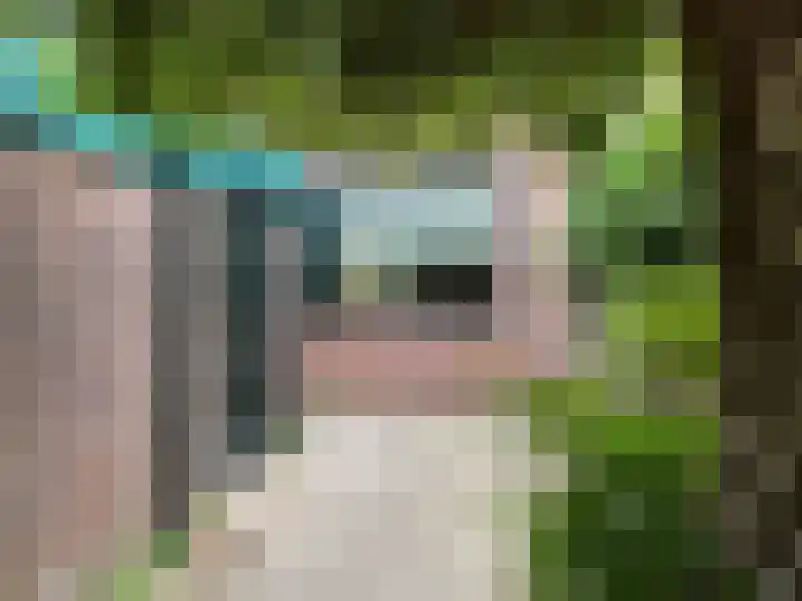 Splitshoorn 48 Monnickendam thumbnail 5