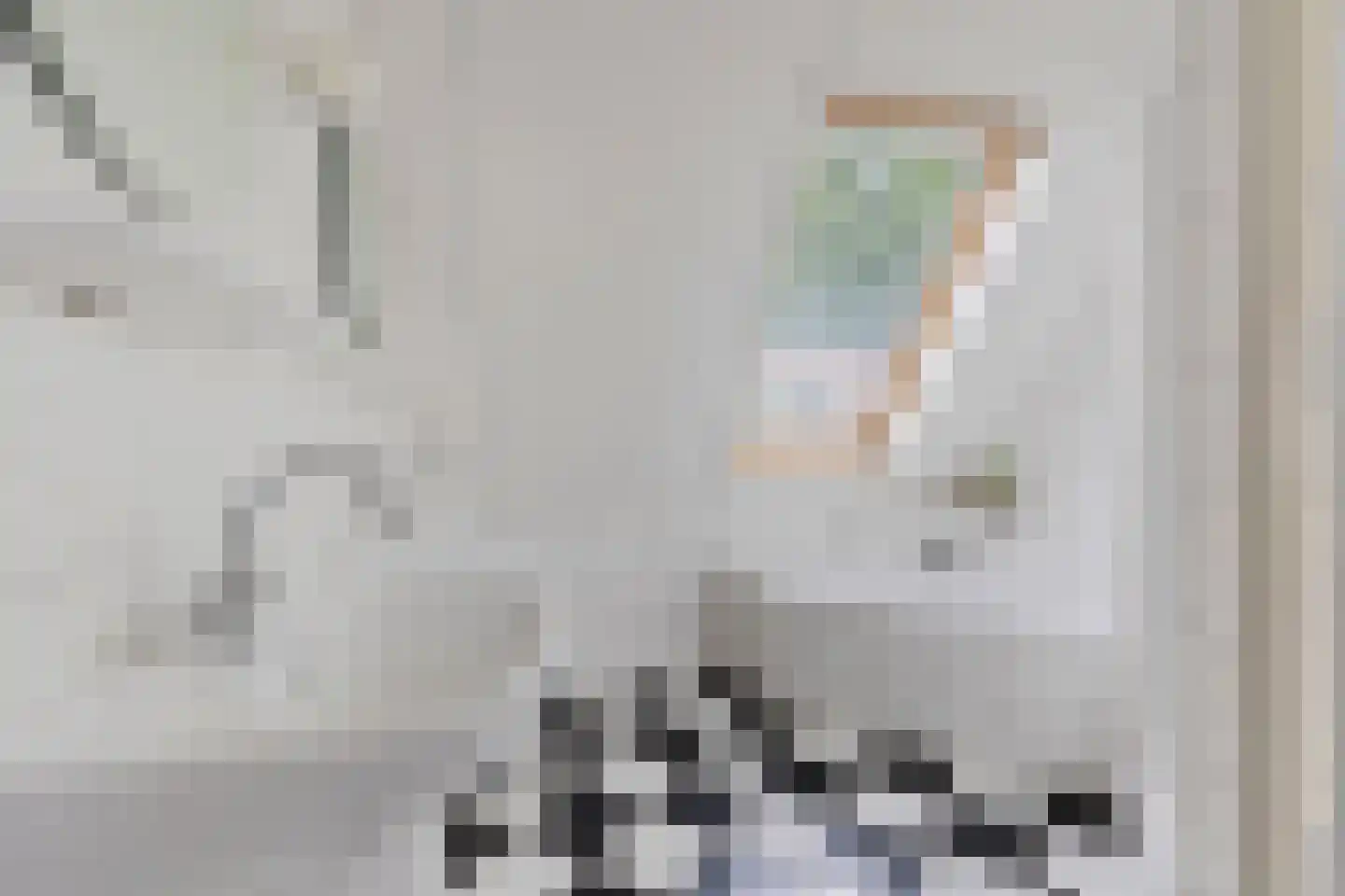 Splitting 10 Emmen thumbnail 23