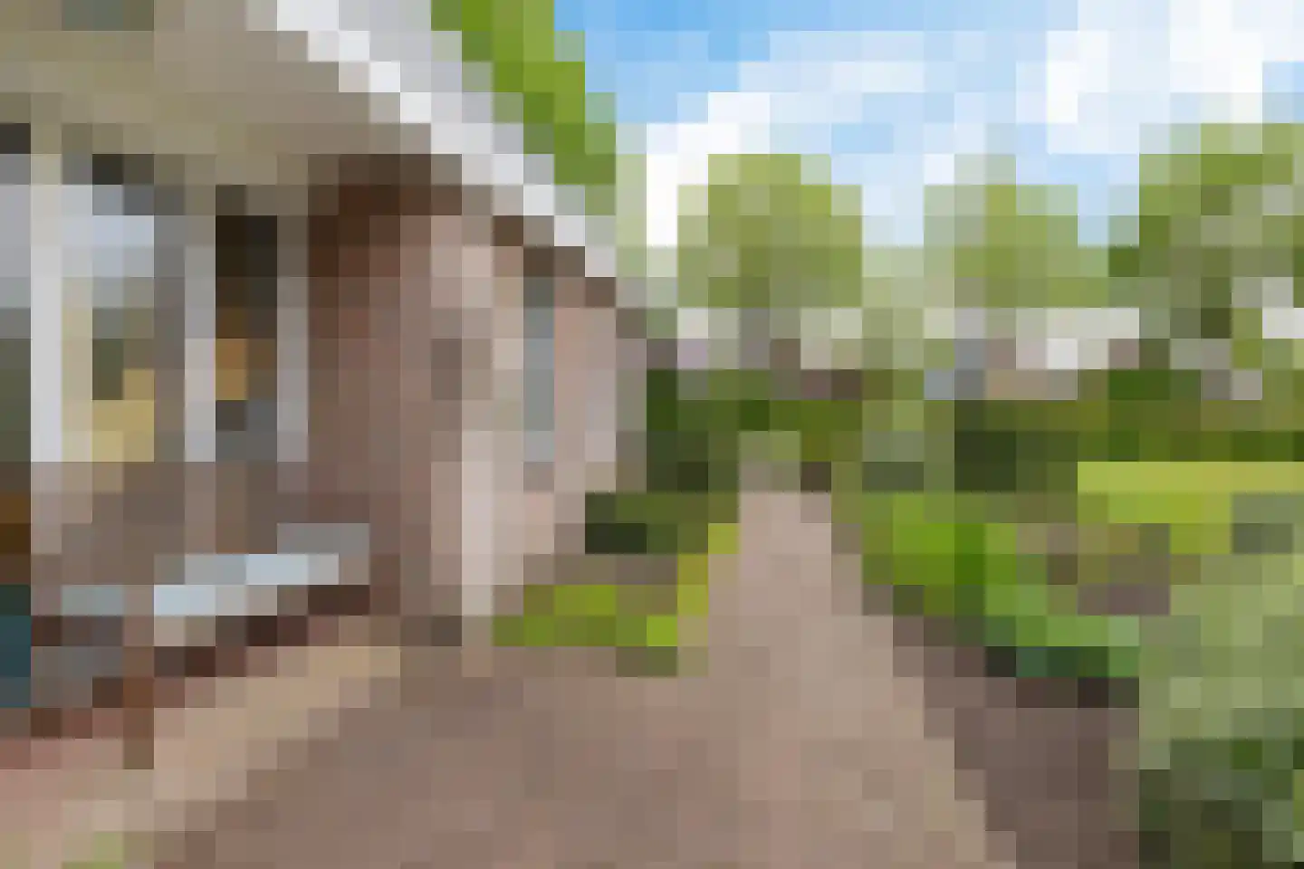 Splitting 10 Emmen thumbnail 4