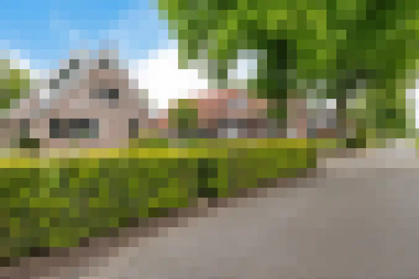 Splitting 10 Emmen thumbnail 46