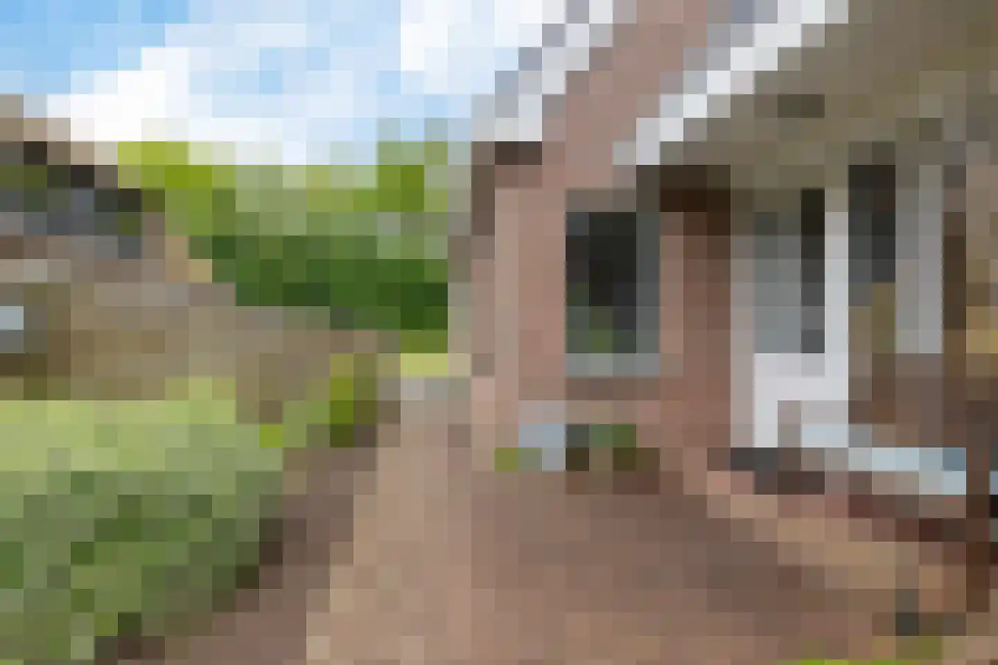 Splitting 10 Emmen thumbnail 5