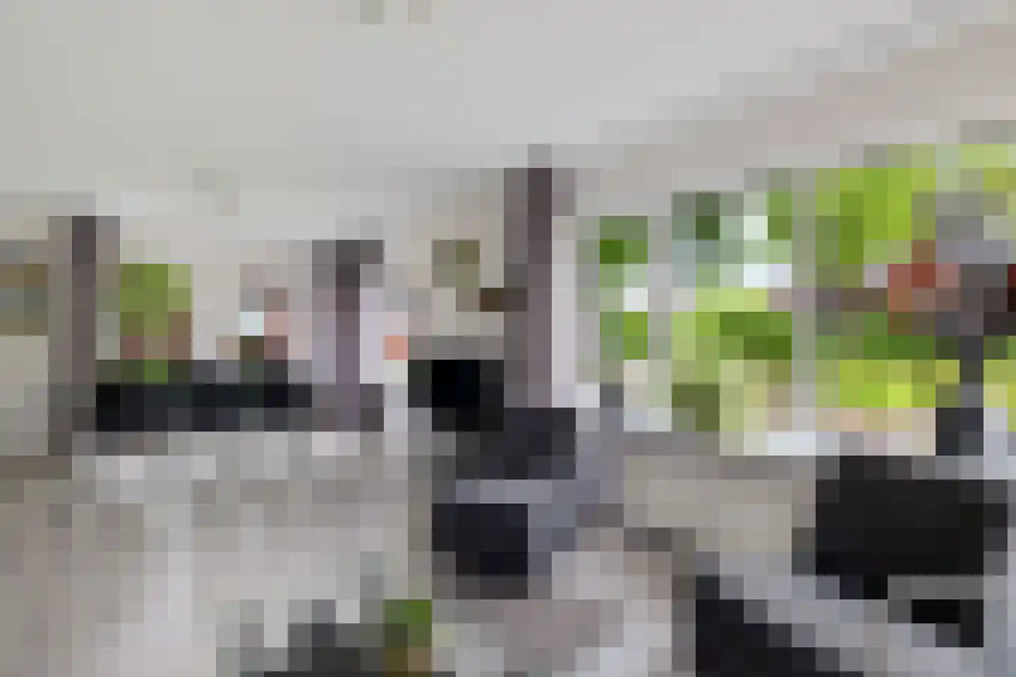 Splitting 10 Emmen thumbnail 7