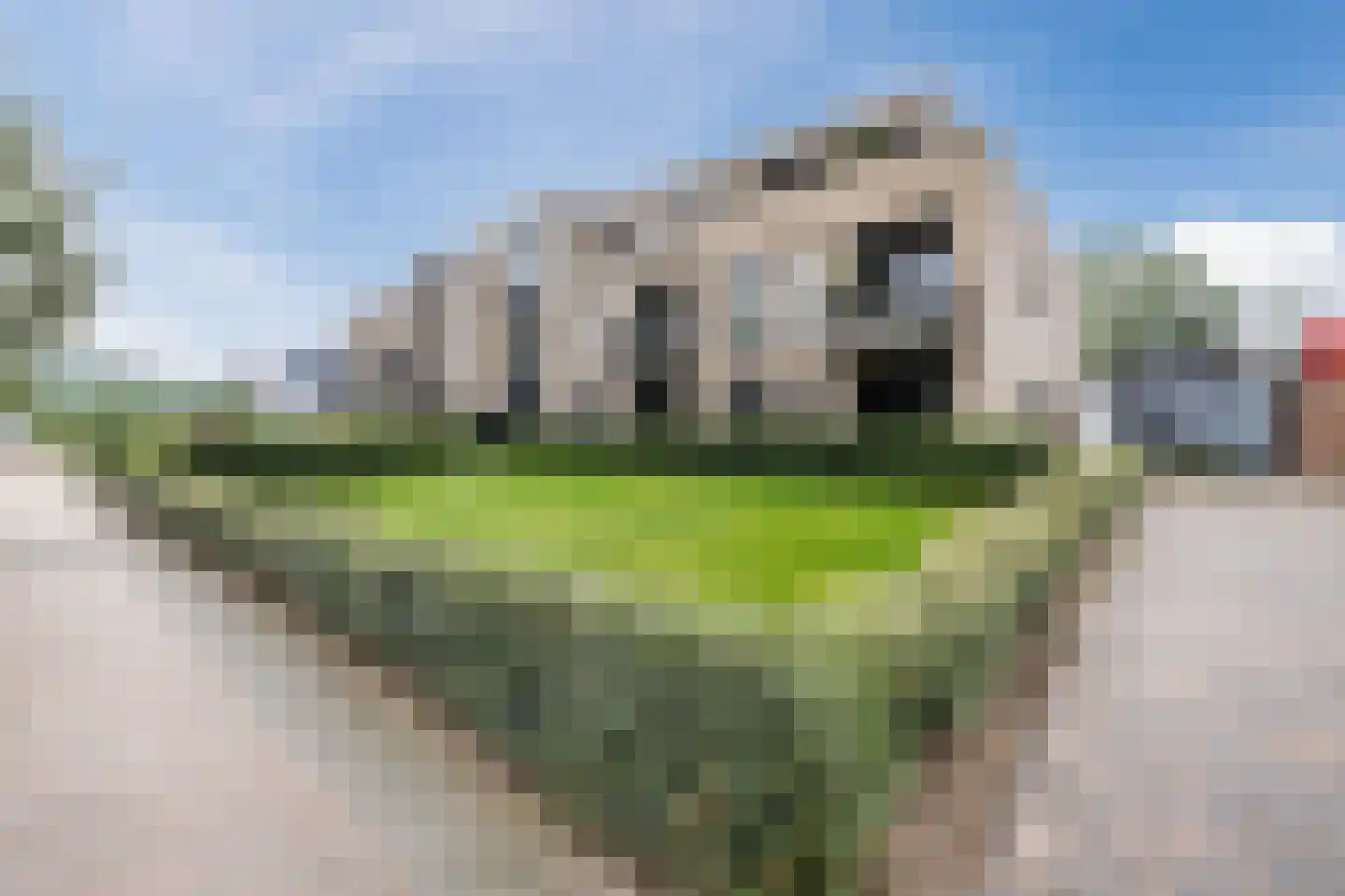 Splitting 155 K Emmen thumbnail 41