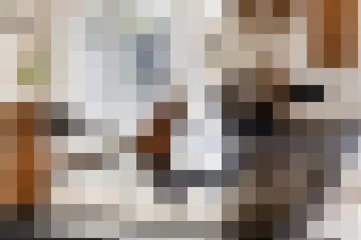 Splitting 16 Drachten thumbnail 18