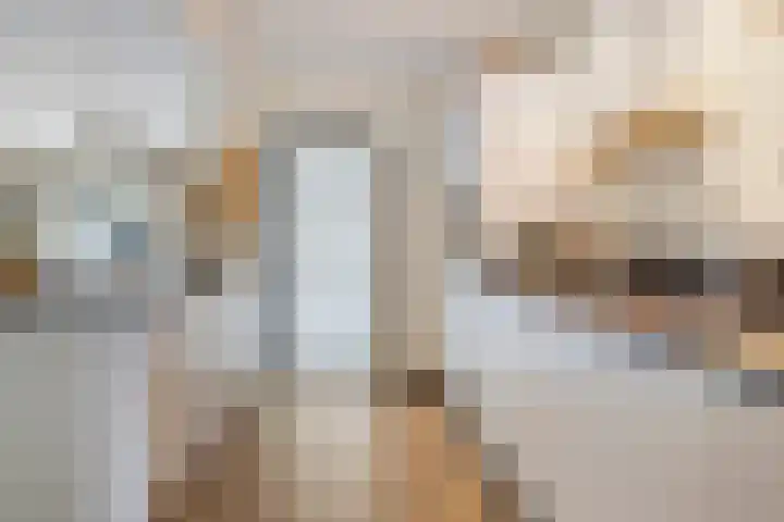 Splitting 16 Drachten thumbnail 19