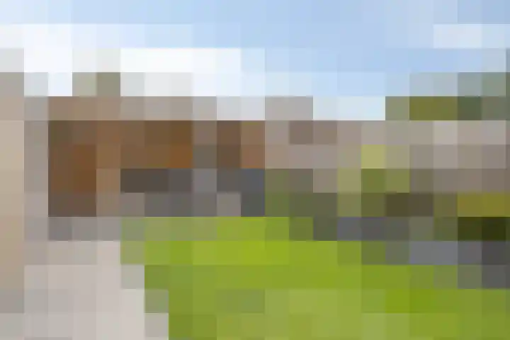 Splitting 16 Drachten thumbnail 46