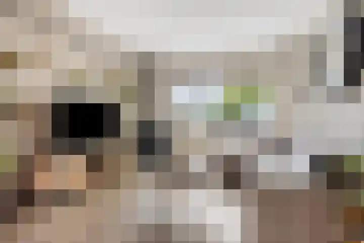 Splitting 16 Drachten thumbnail 7