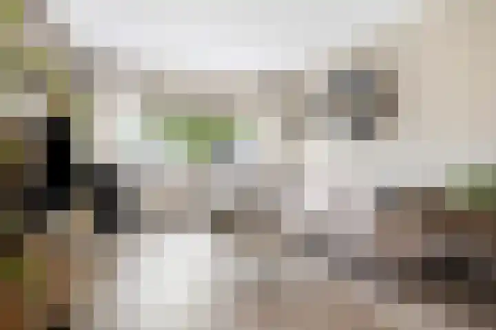 Splitting 16 Drachten thumbnail 9