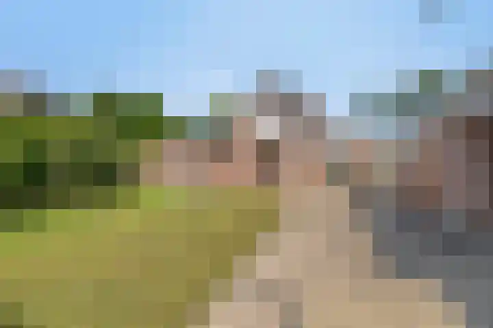 Splitting 170 Emmen thumbnail 15
