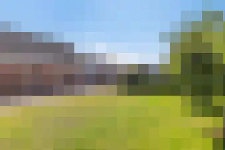 Splitting 170 Emmen thumbnail 16