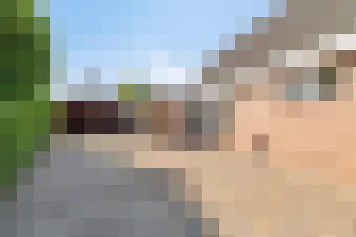 Splitting 170 Emmen thumbnail 21