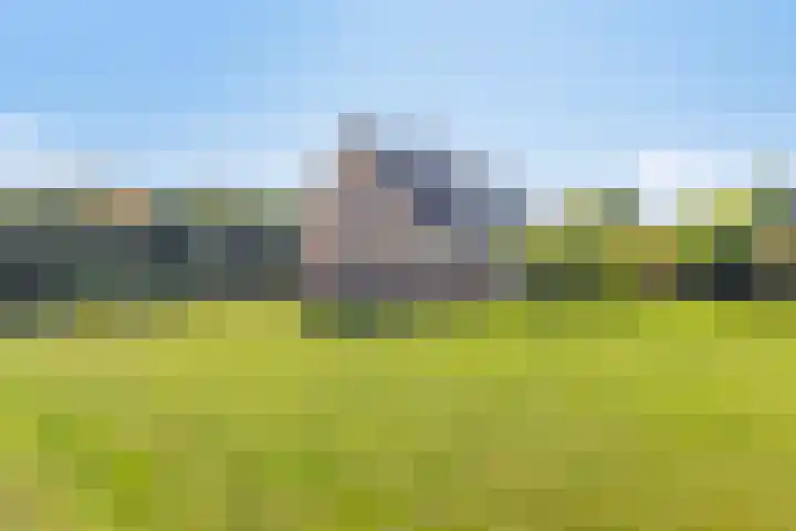 Splitting 170 Emmen thumbnail 22