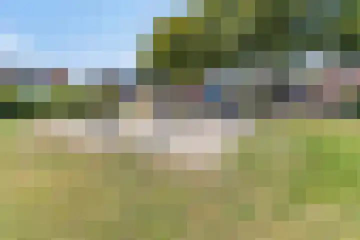 Splitting 170 Emmen thumbnail 23