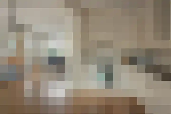 Splitting 2 Drachten thumbnail 12