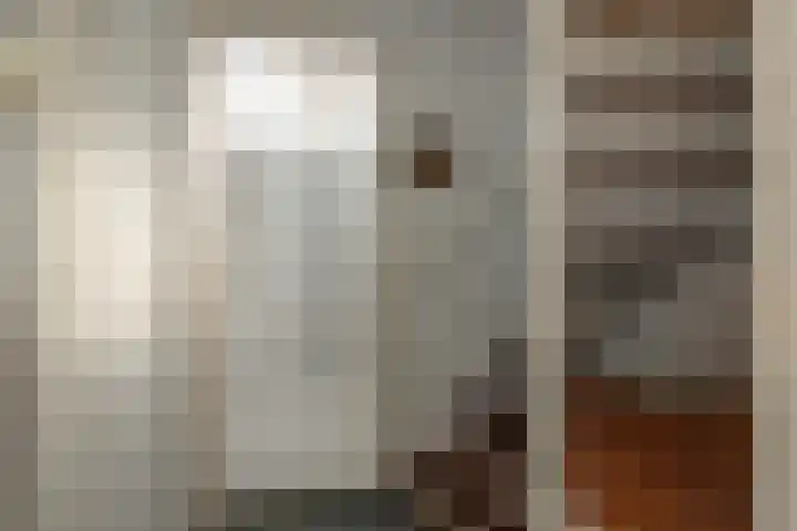 Splitting 2 Drachten thumbnail 27