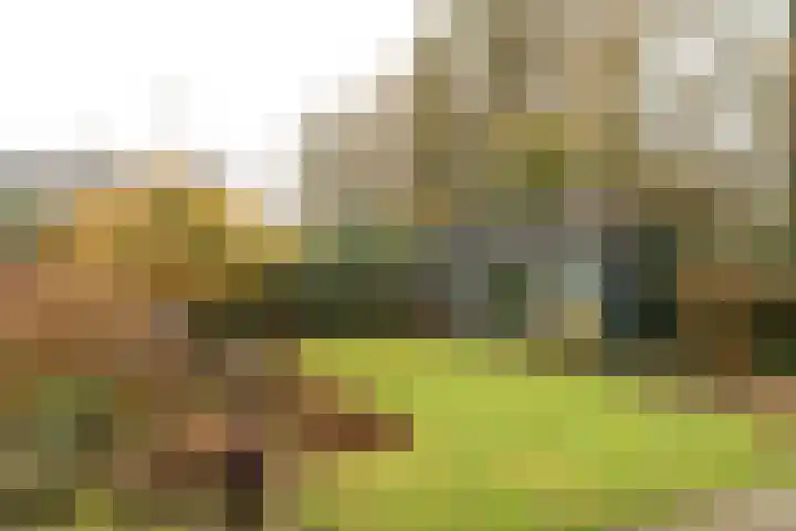 Splitting 2 Drachten thumbnail 33