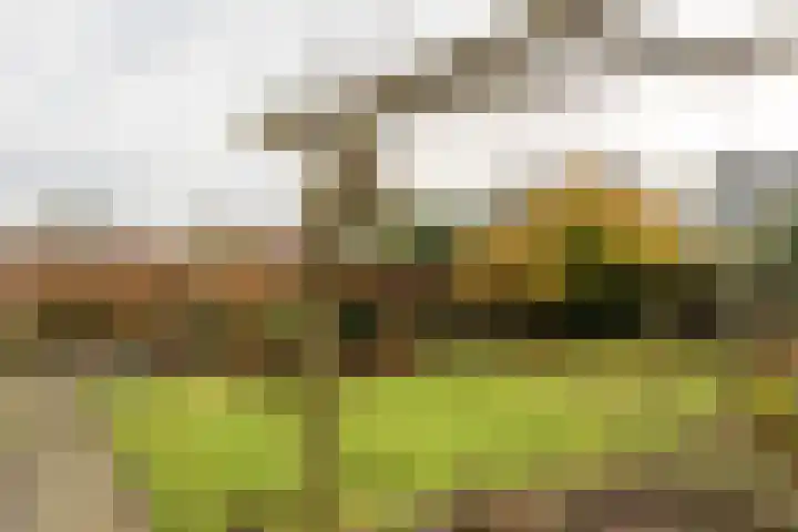 Splitting 2 Drachten thumbnail 34