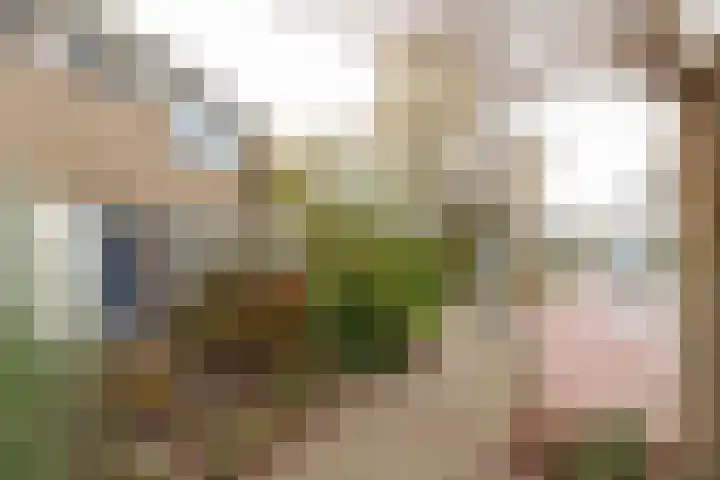 Splitting 2 Drachten thumbnail 35