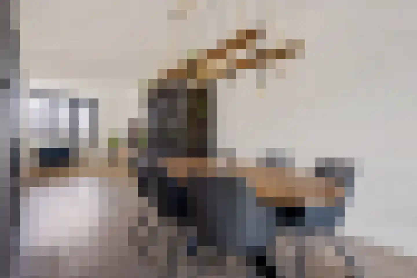 Splitting 20 Valthermond thumbnail 12