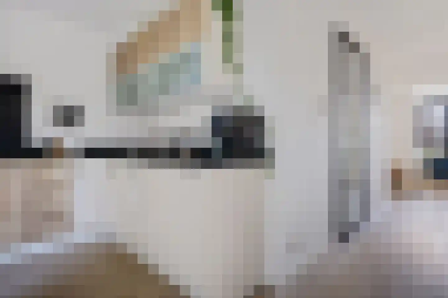 Splitting 20 Valthermond thumbnail 13
