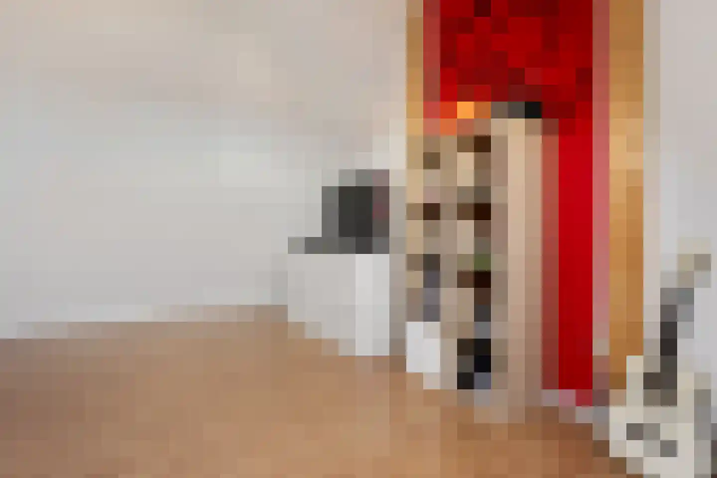 Splitting 20 Valthermond thumbnail 25
