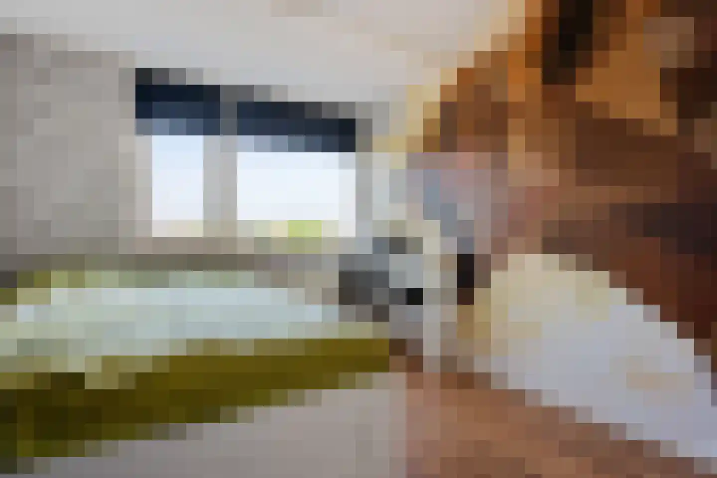 Splitting 20 Valthermond thumbnail 29