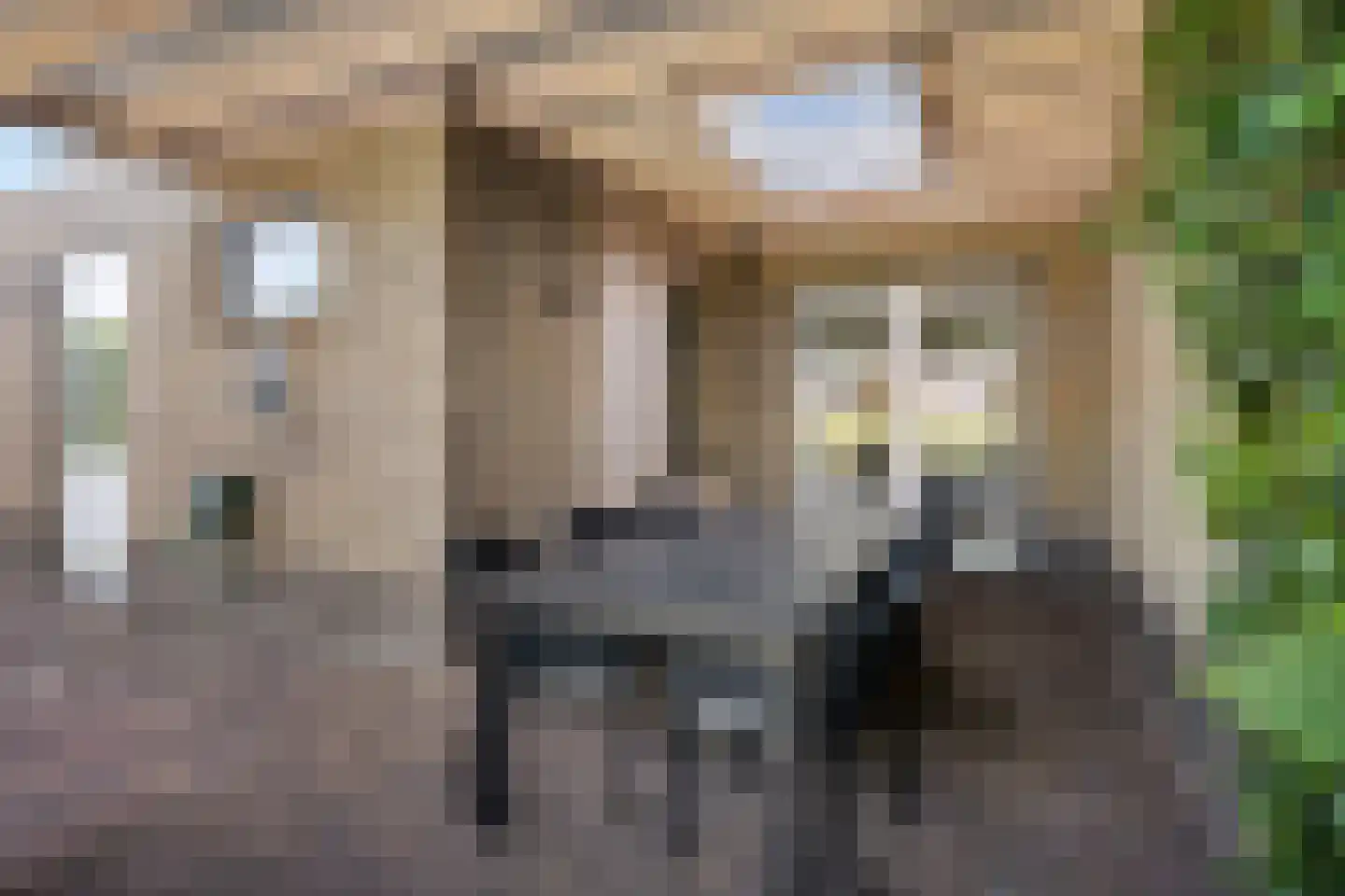 Splitting 20 Valthermond thumbnail 39