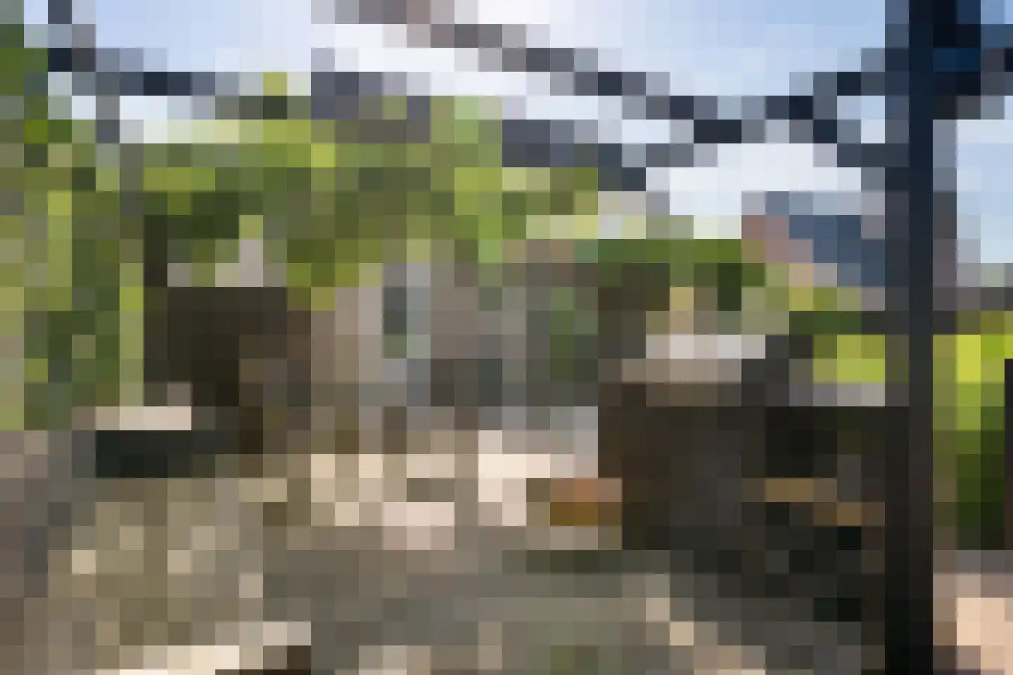 Splitting 20 Valthermond thumbnail 41