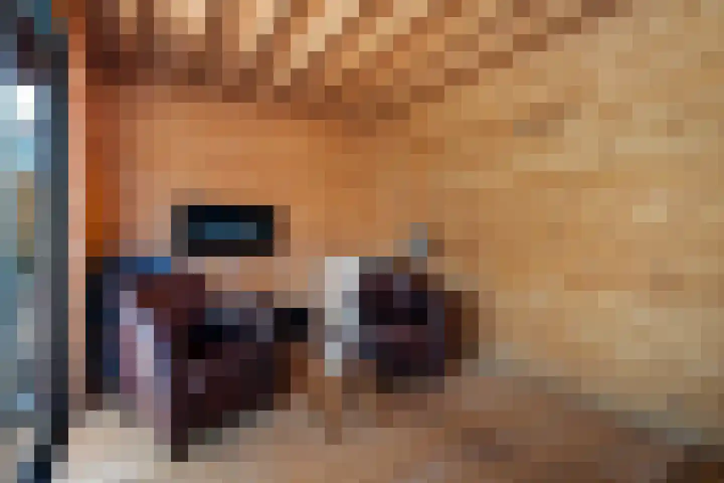 Splitting 20 Valthermond thumbnail 43