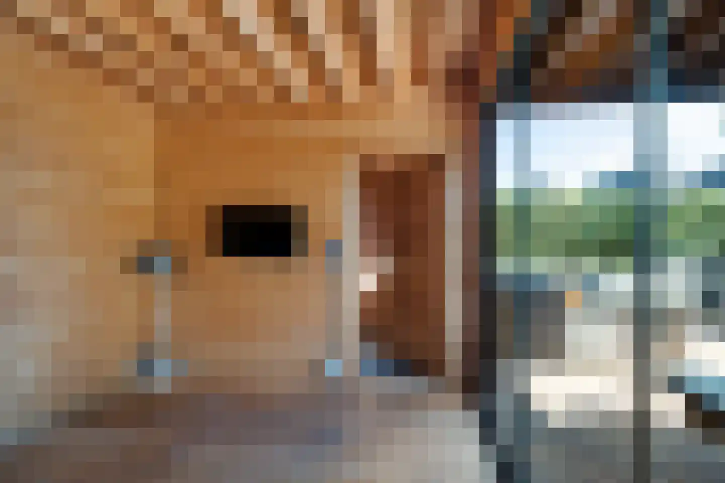 Splitting 20 Valthermond thumbnail 44