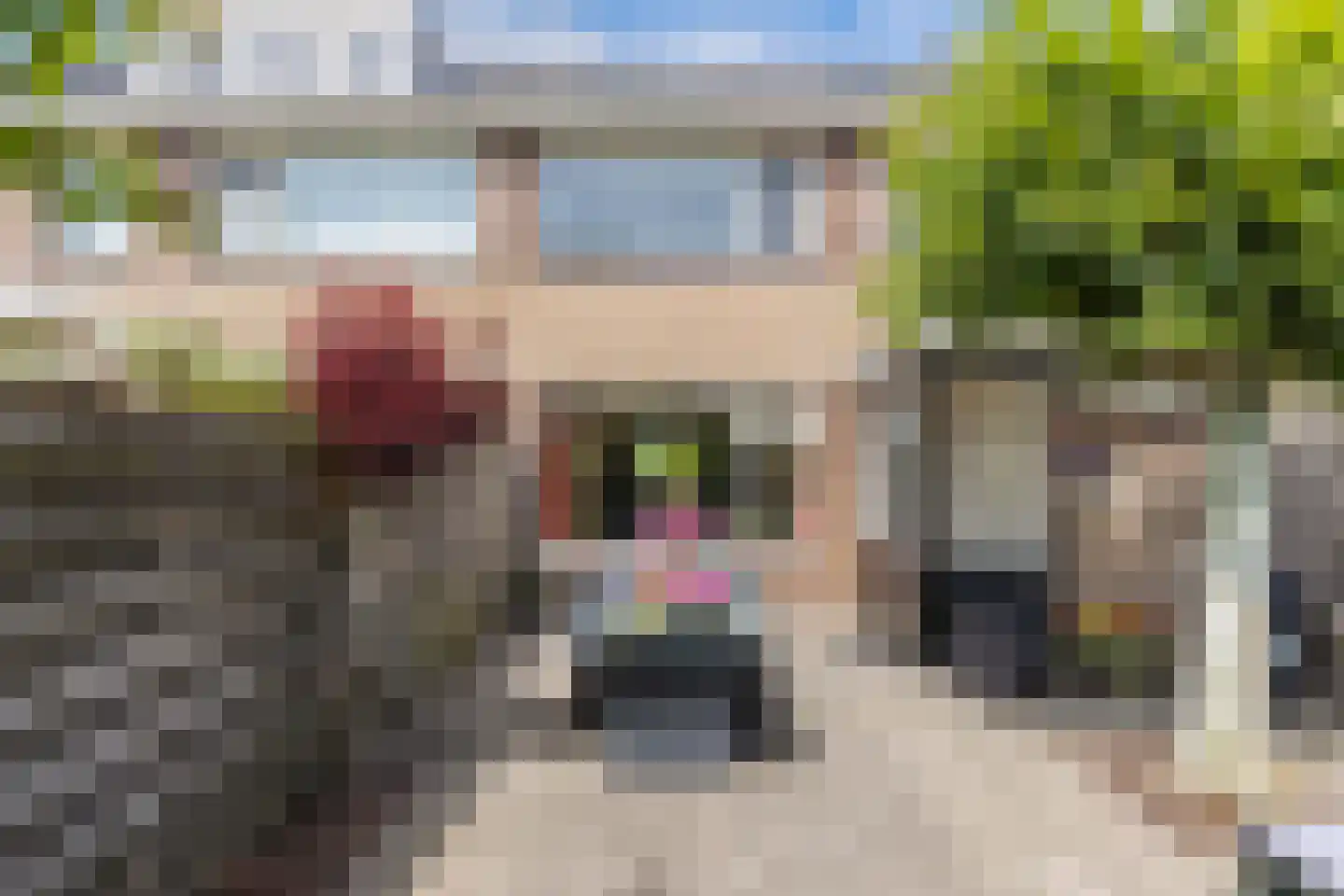 Splitting 26 Drachten thumbnail 37