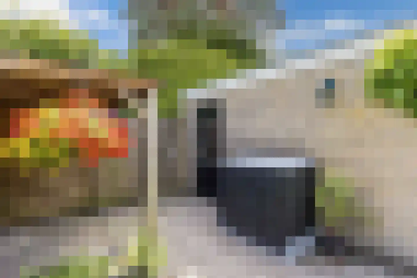 Splitting 26 Drachten thumbnail 39