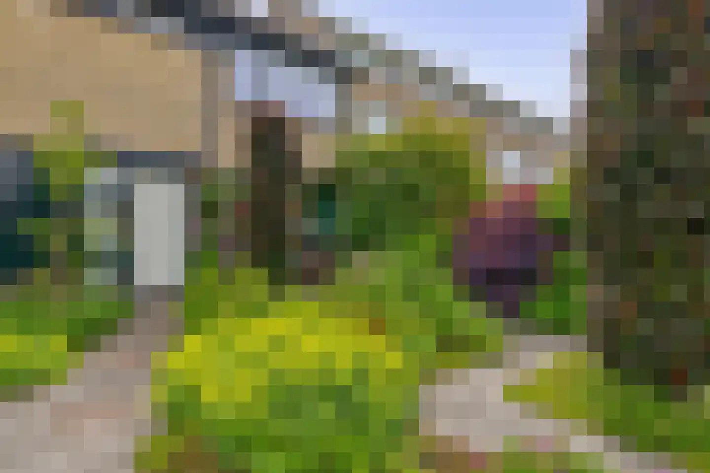 Splitting 42 Drachten thumbnail 6