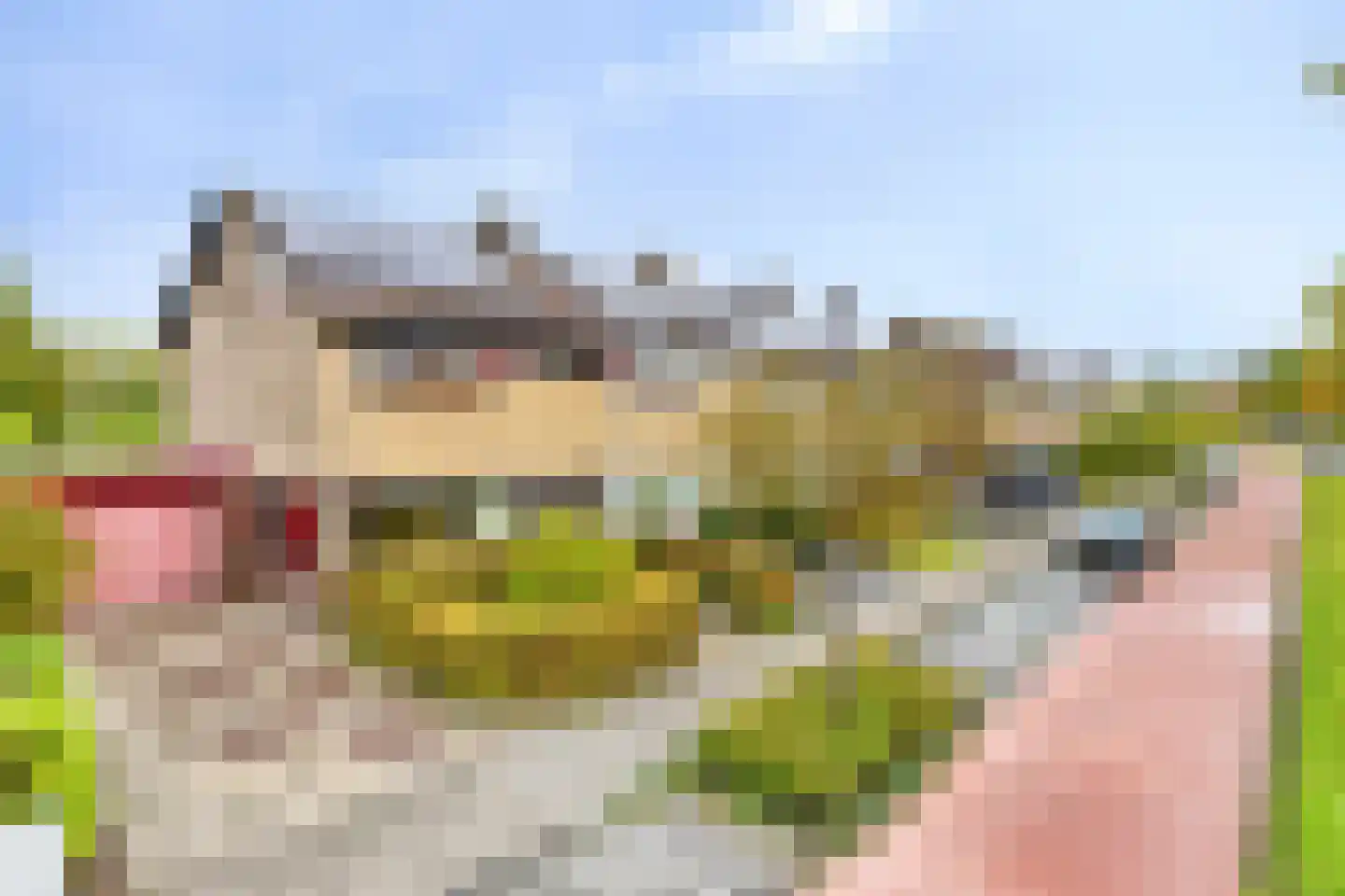 Splitting 43 Drachten thumbnail 4