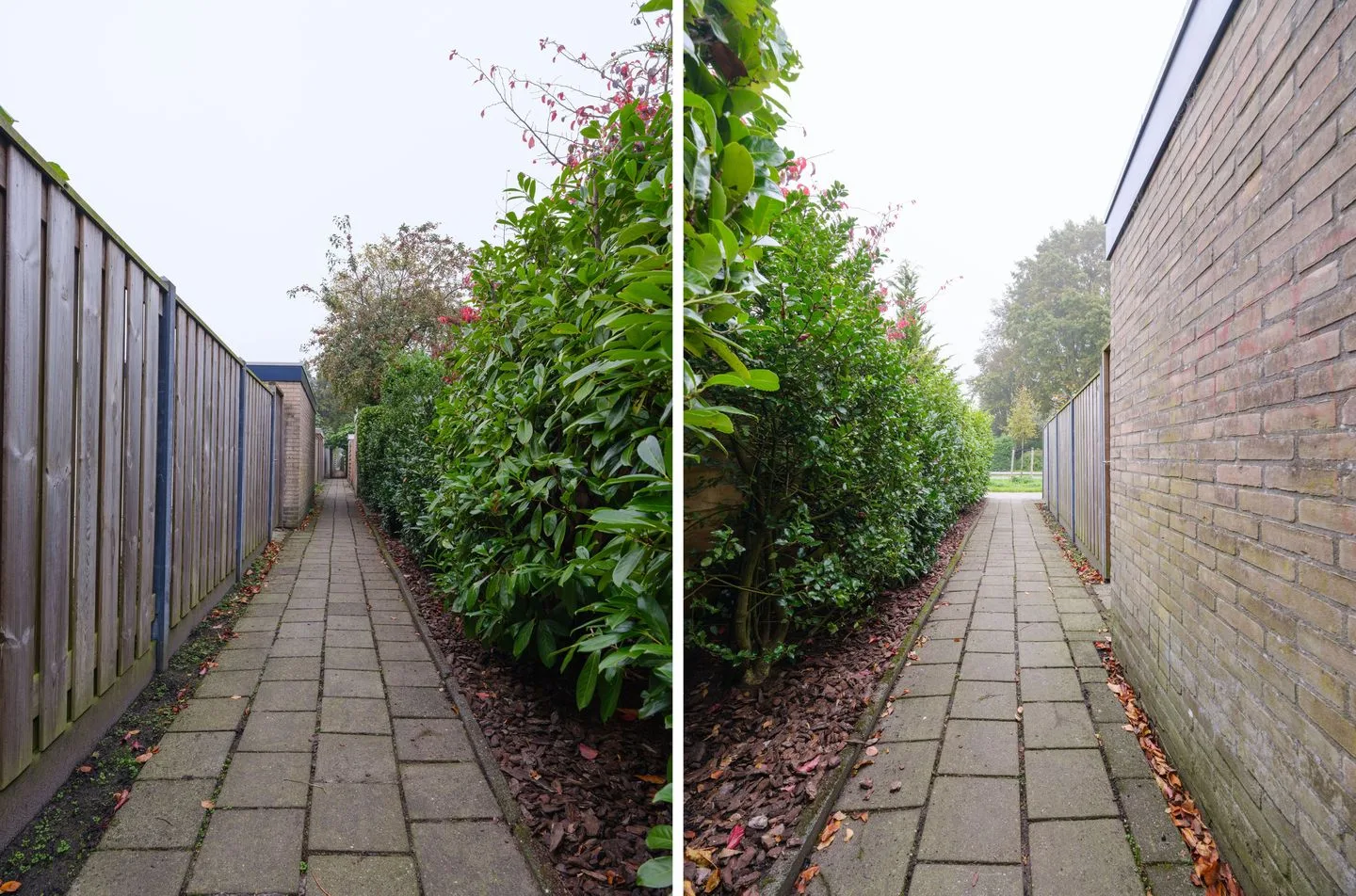 Splitting 44 Drachten thumbnail 44