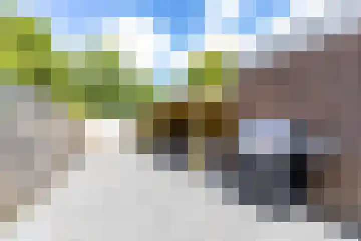 Splitting 47 Drachten thumbnail 25
