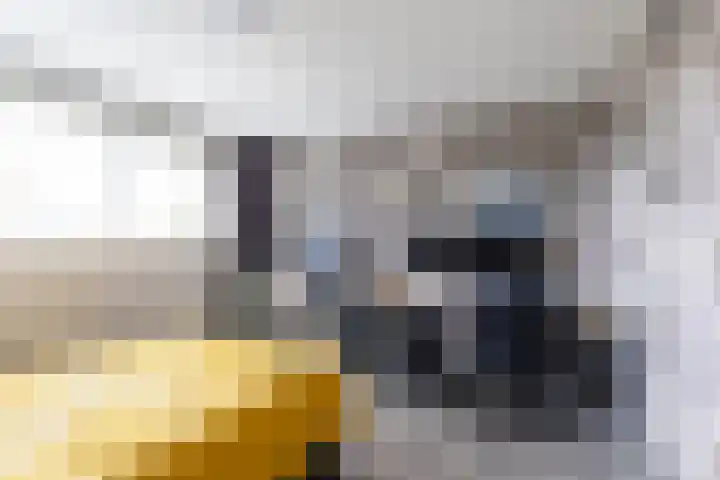 Splitting 47 Drachten thumbnail 35