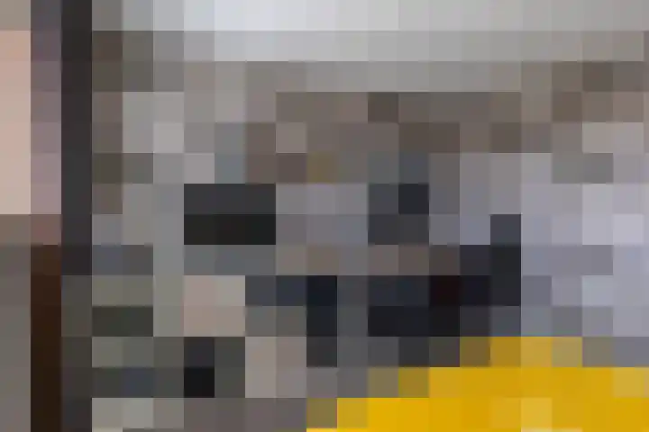 Splitting 47 Drachten thumbnail 37