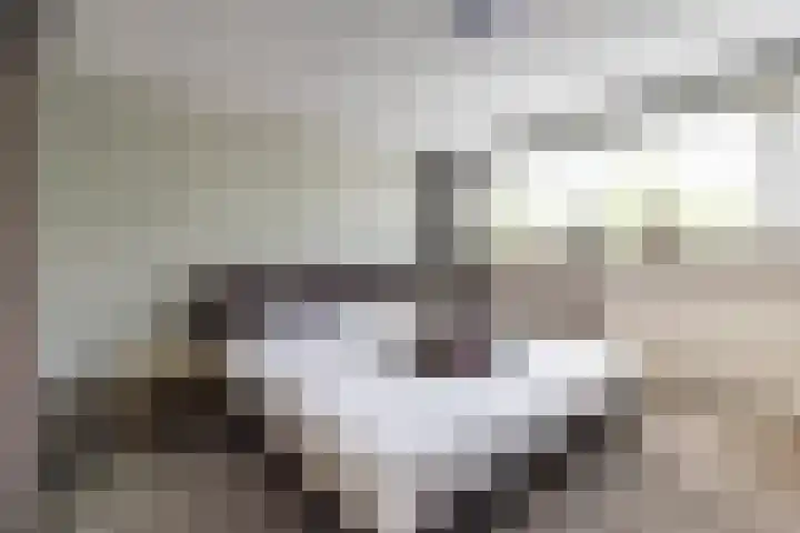 Splitting 47 Drachten thumbnail 38