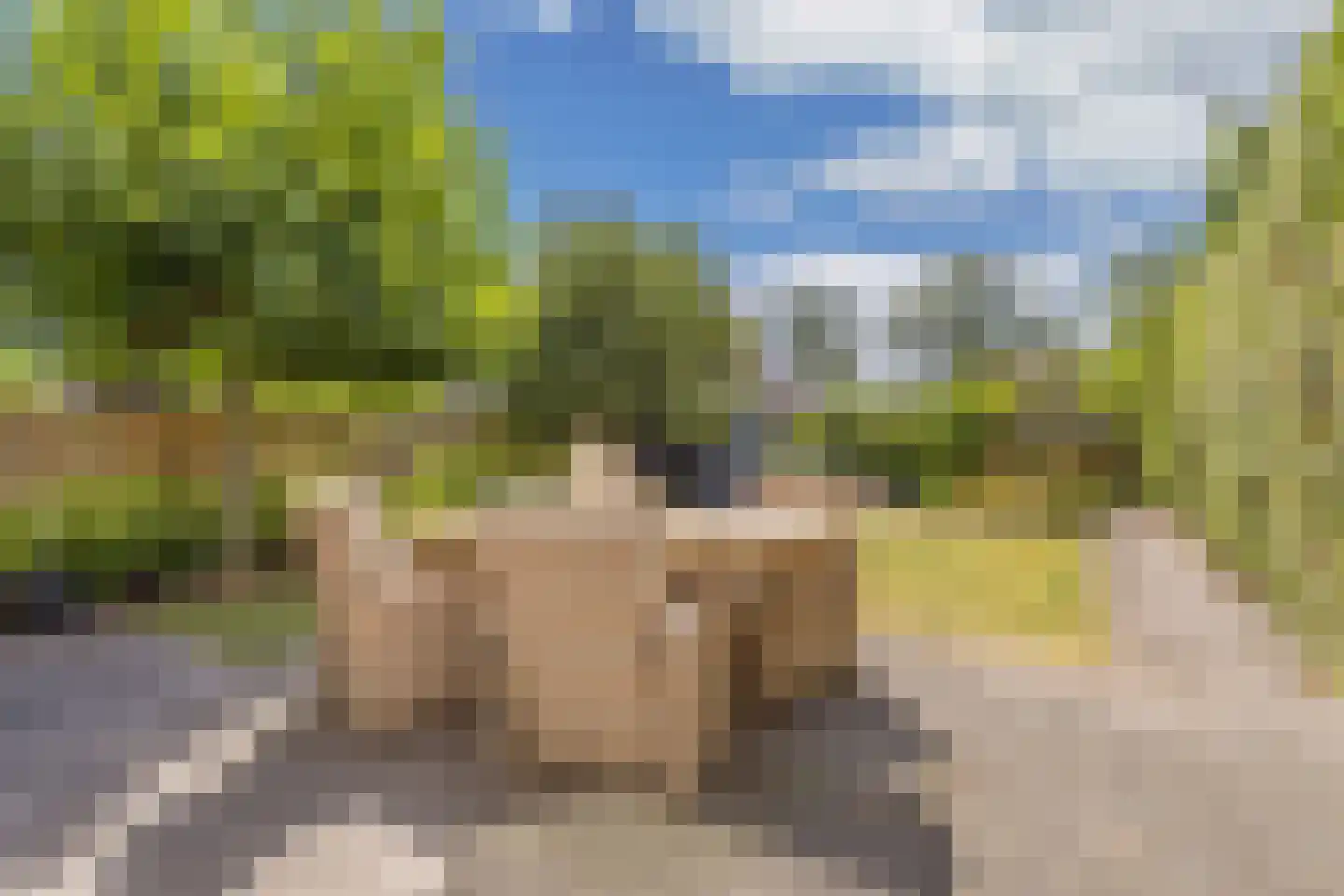 Splitting 60 Drachten thumbnail 39