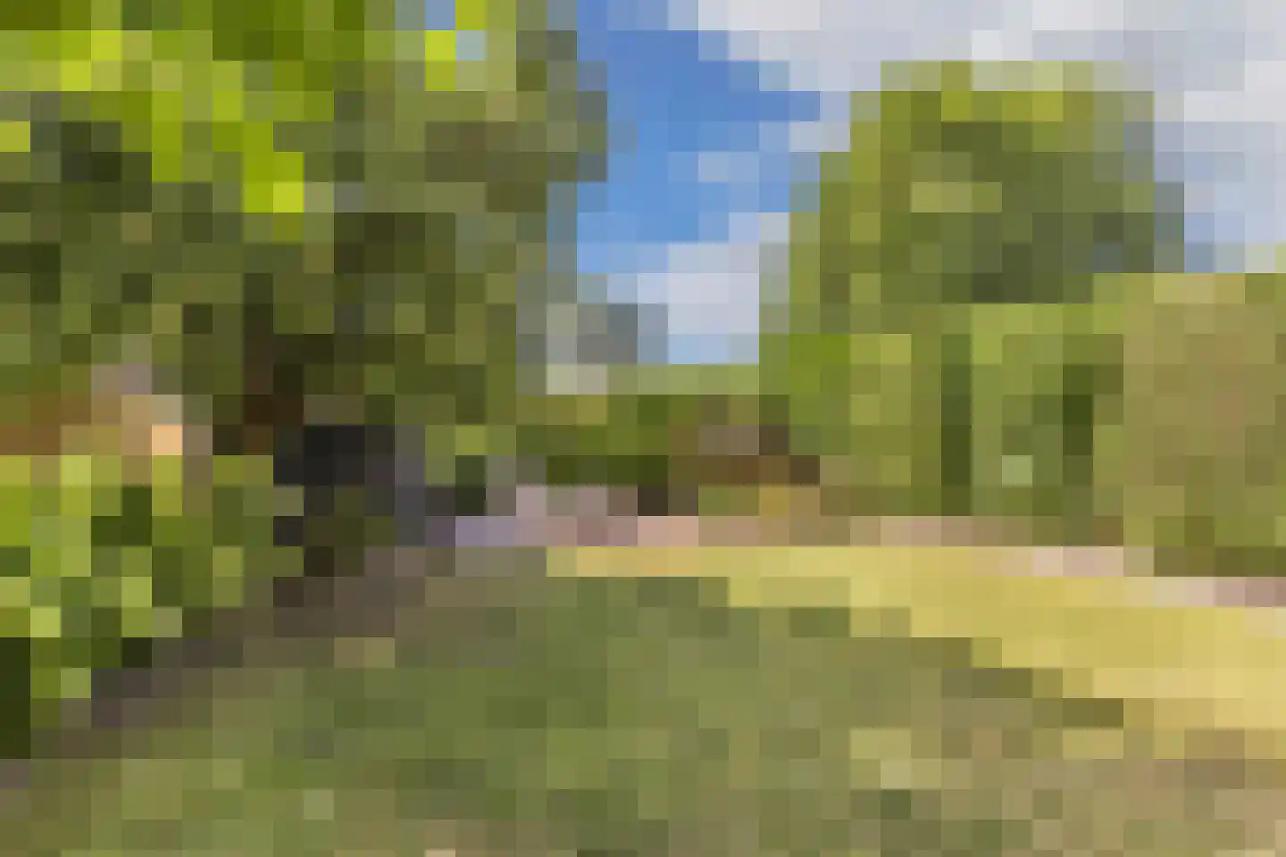 Splitting 60 Drachten thumbnail 40