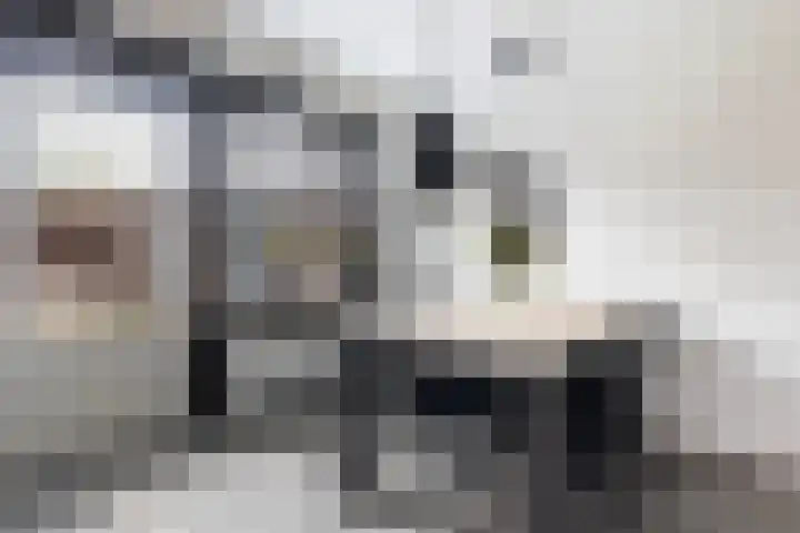 Spoarbuert 3 Stiens thumbnail 12