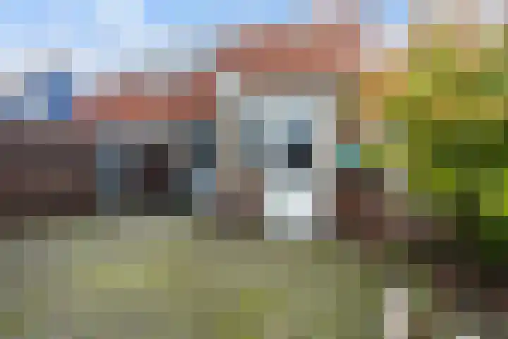 Spoarbuert 3 Stiens thumbnail 33