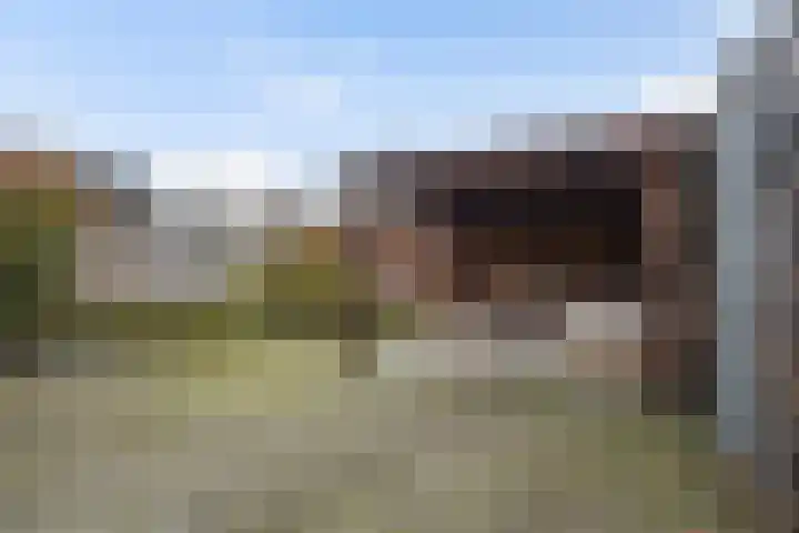 Spoarbuert 3 Stiens thumbnail 35