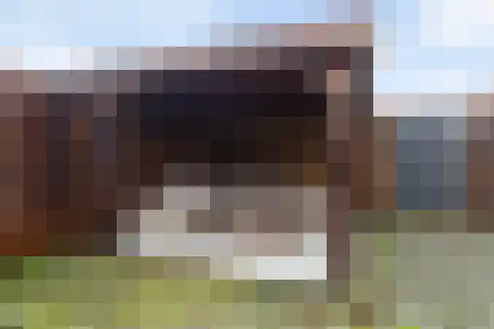Spoarbuert 3 Stiens thumbnail 36