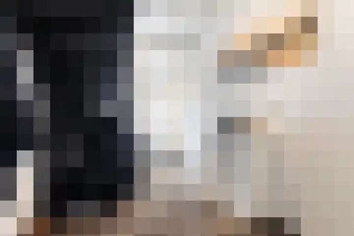 Spoarbuert 3 Stiens thumbnail 5