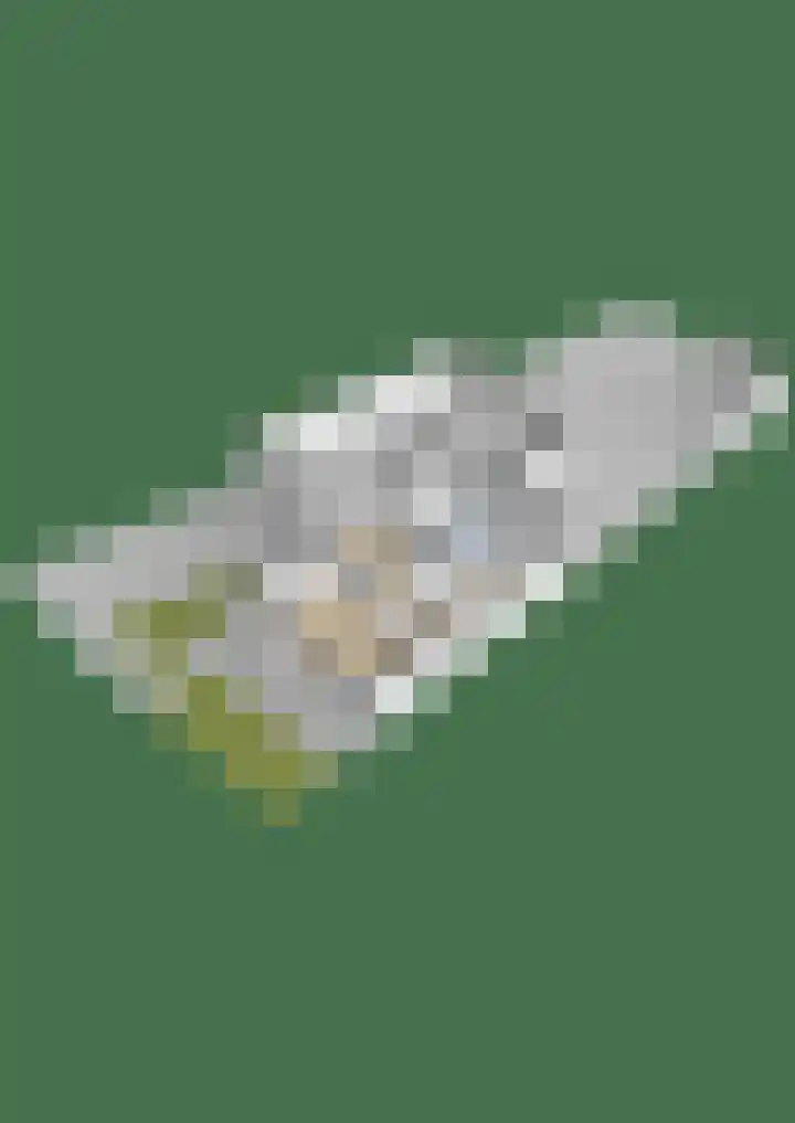 Spoarbuert 3 Stiens thumbnail 51