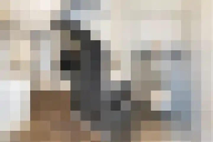 Spoarbuert 3 Stiens thumbnail 6